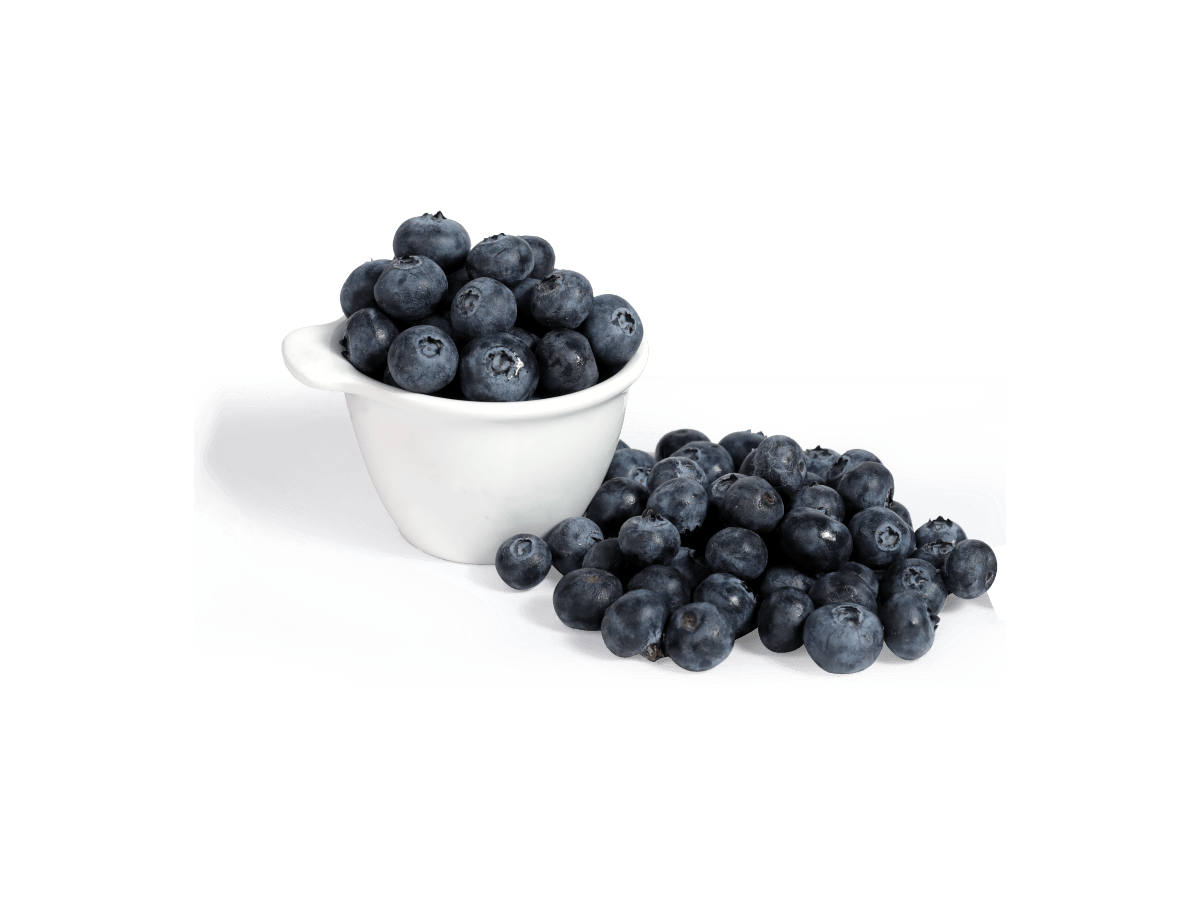 order online fresh blueberries online in delhi best seller buy real buy fresh