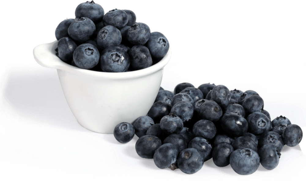 order online fresh blueberries online in delhi best seller buy real buy fresh