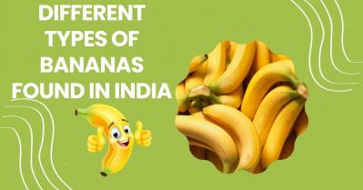 10 Different Types Of Bananas Found In India