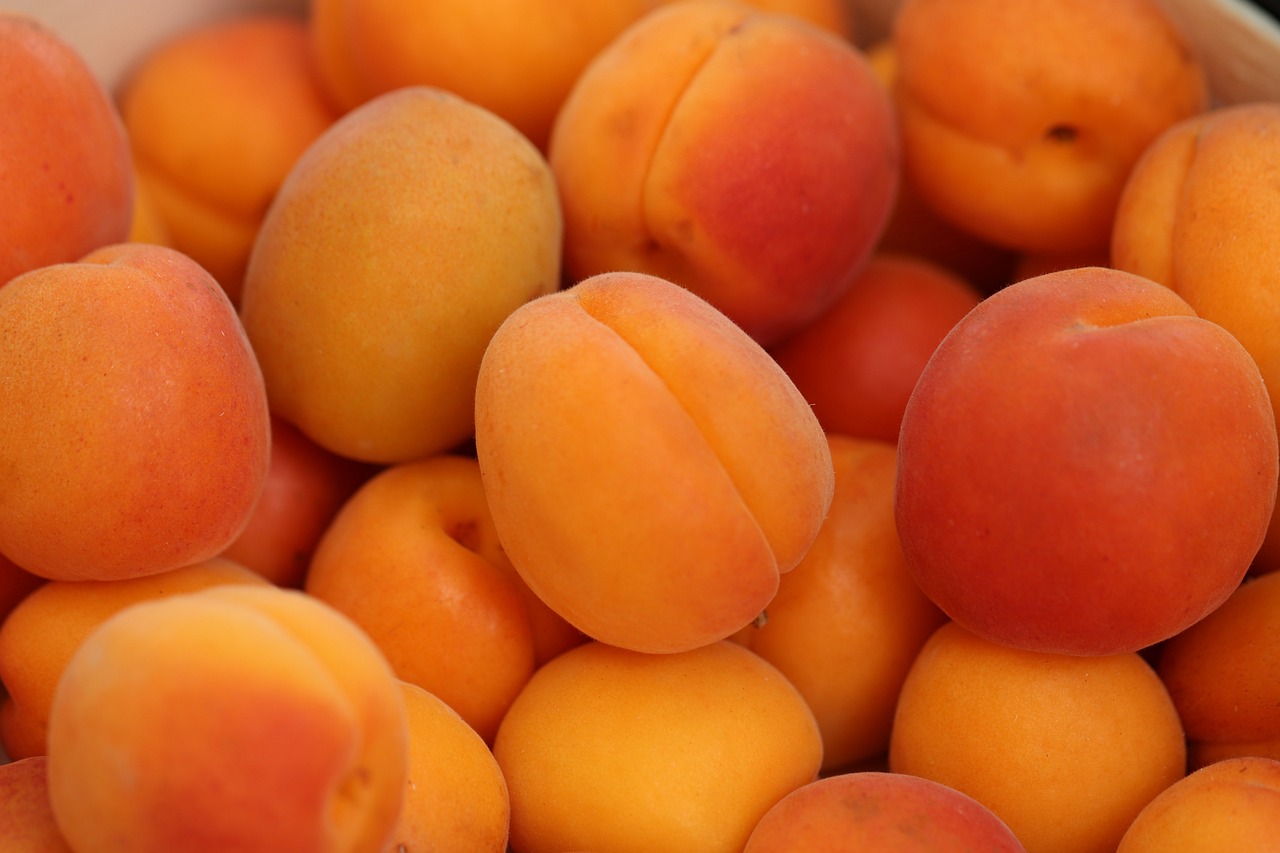 Apricots