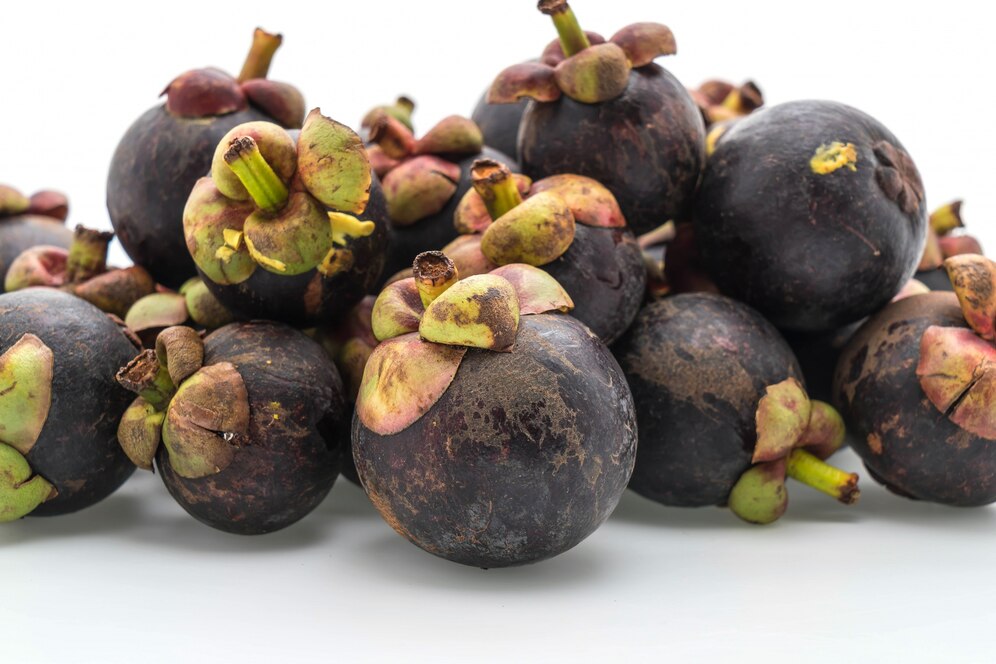 Black Mangosteen