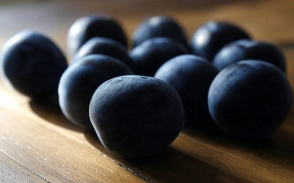 image of Black Plum fruit