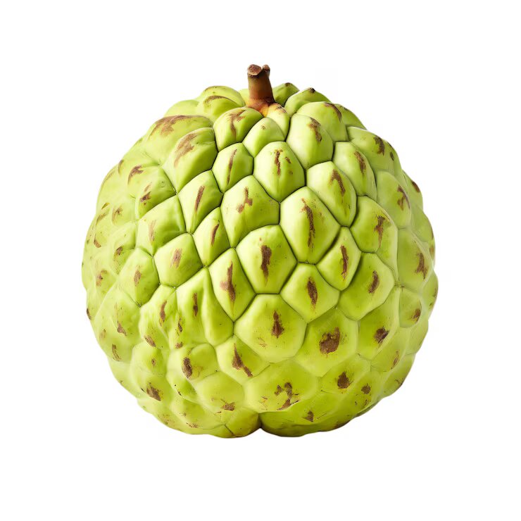 Custard Apple