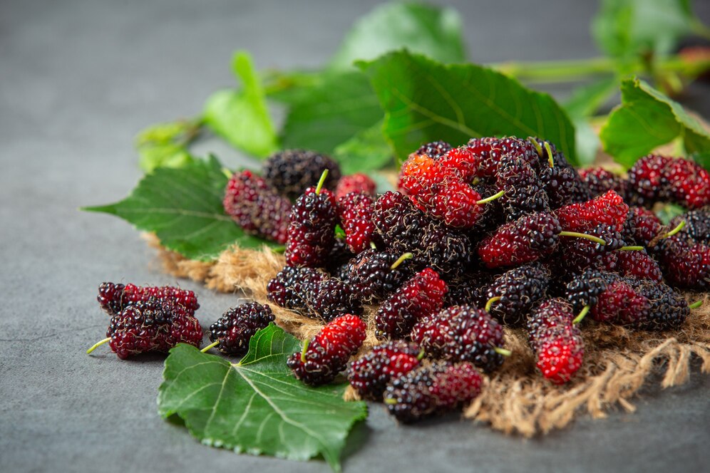 Loganberries