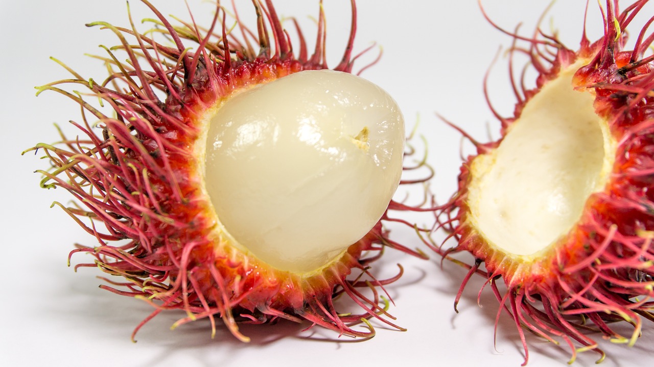 Rambutan