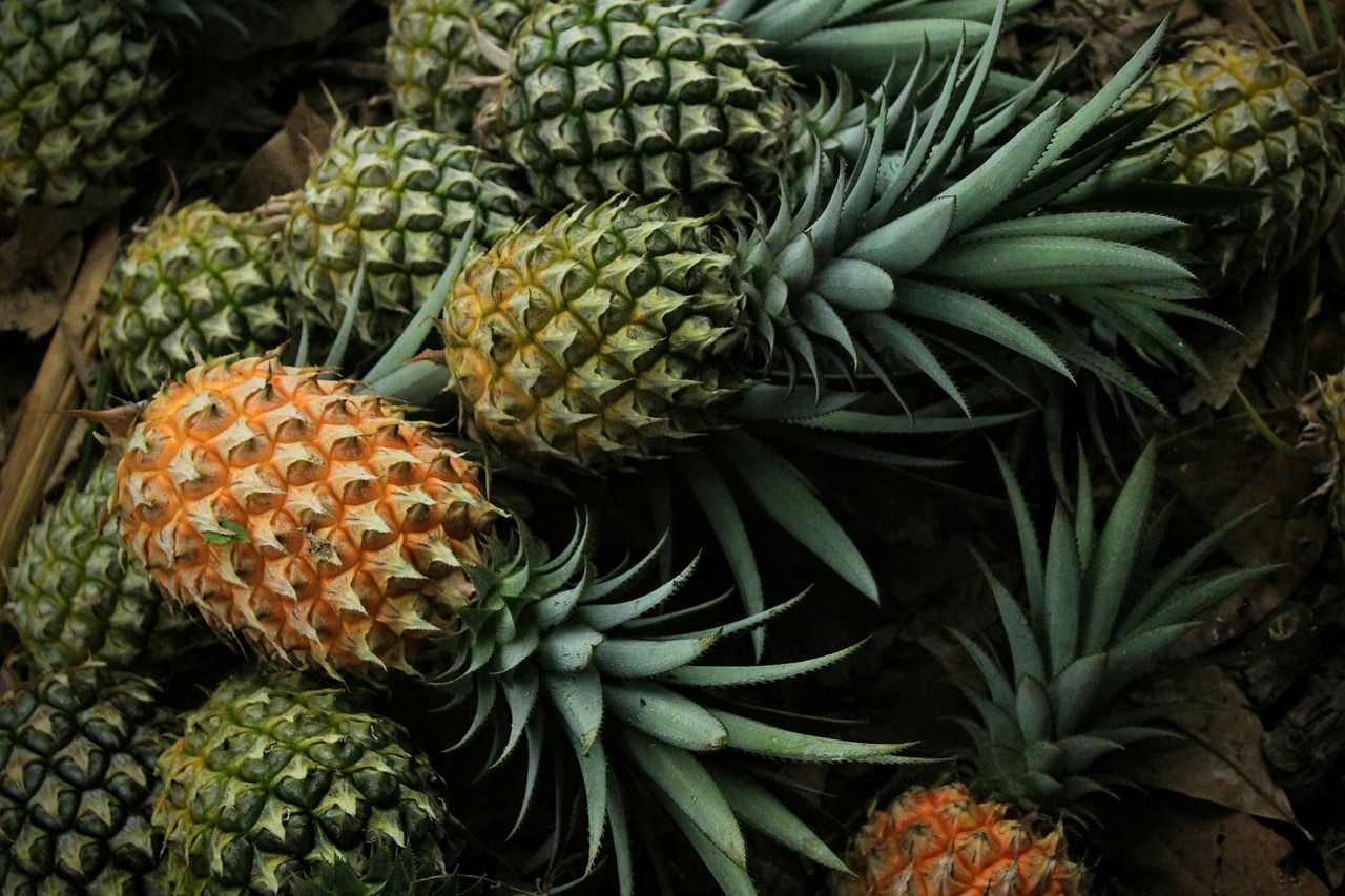 Pineapple, Coconut, & Lemon-Infused Water